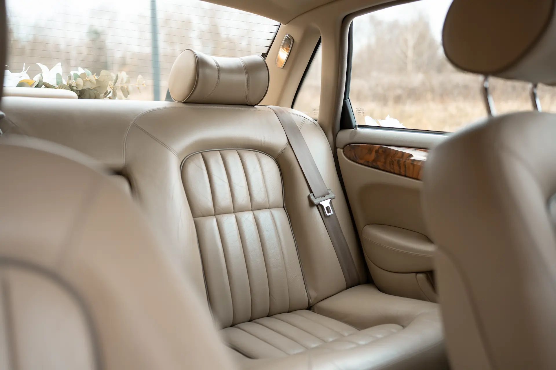 Sesja zdjęciowa z Jaguarem w Łodzi